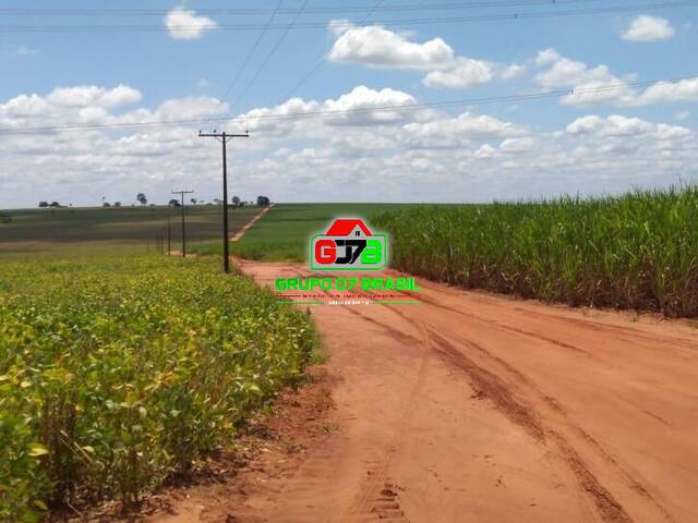 Fazenda para Venda em Ourinhos - 3