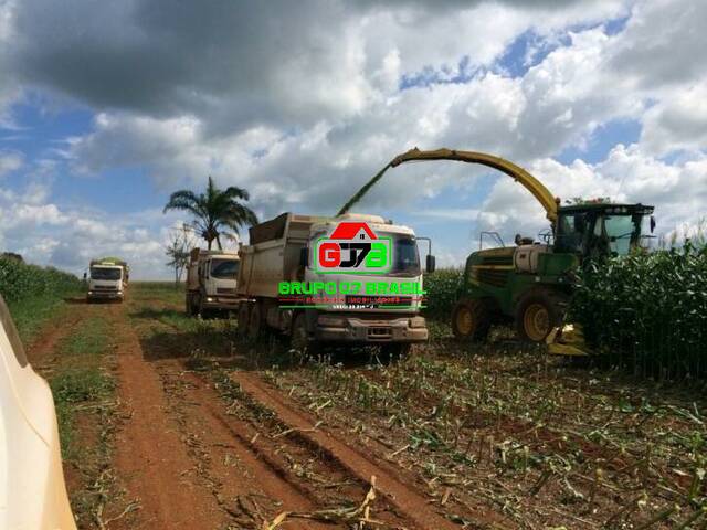 Fazenda para Venda em Xinguara - 5