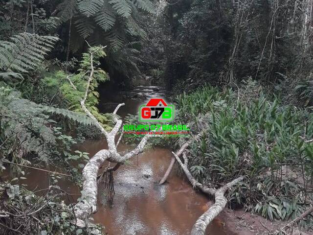 Fazenda para Venda em Paraibuna - 2