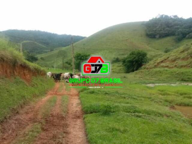 Fazenda para Venda em São José dos Campos - 4