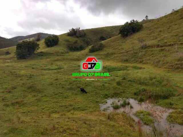 Fazenda para Venda em Paraibuna - 2