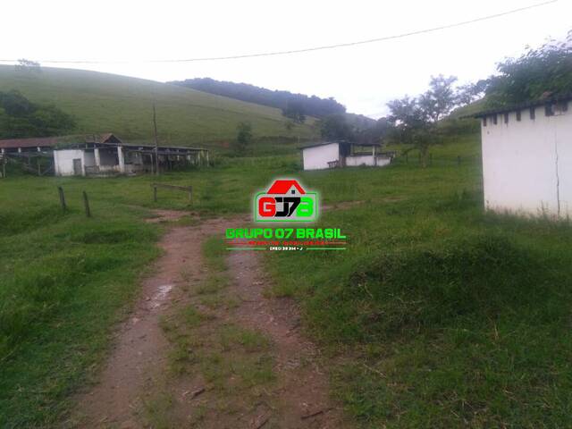 Fazenda para Venda em Jambeiro - 2