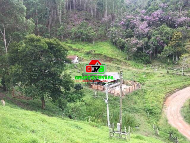 #1208 - Fazenda para Venda em São Luíz do Paraitinga - SP