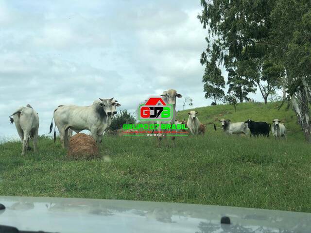 Fazenda para Venda em Paraibuna - 1