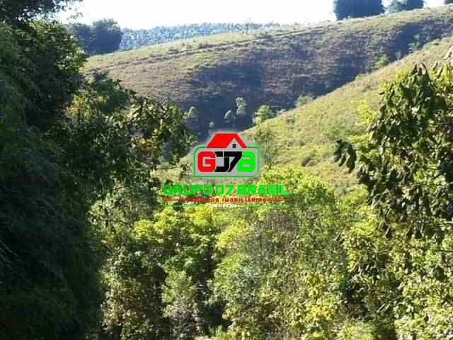 Fazenda para Venda em Monteiro Lobato - 4