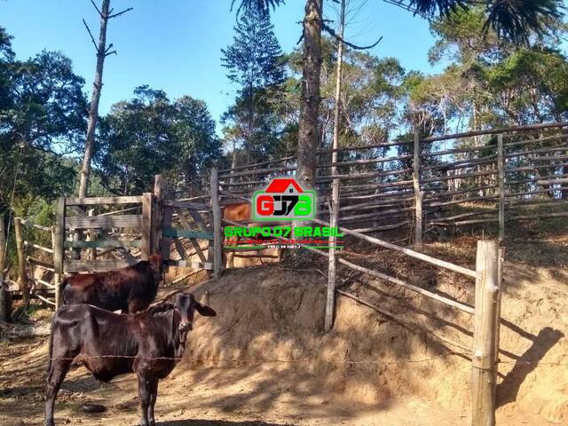 Fazenda para Venda em São Luíz do Paraitinga - 3