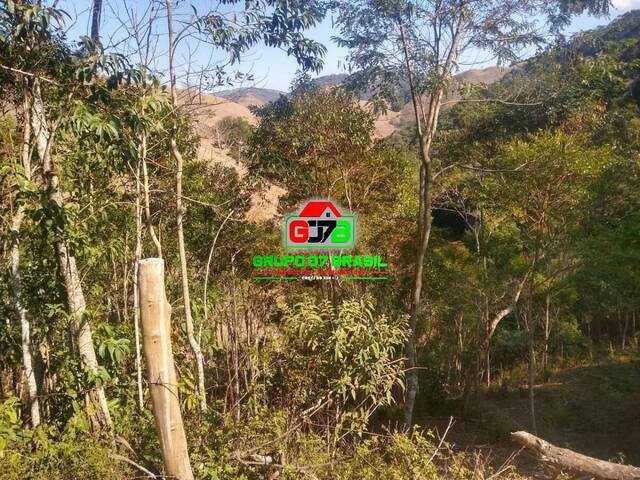 Fazenda para Venda em São Luíz do Paraitinga - 4