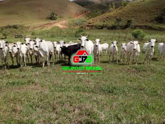 Fazenda para Venda em Cachoeira Paulista - 1