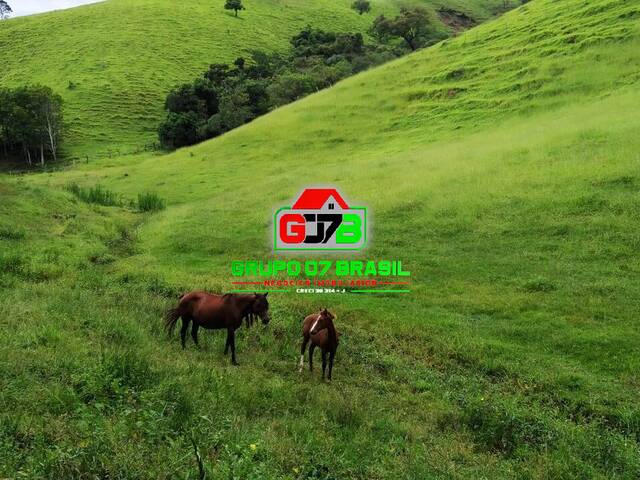 Fazenda para Venda em Cunha - 2