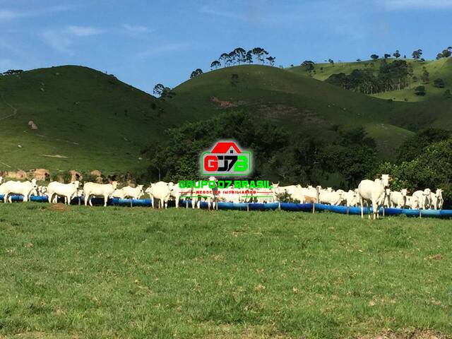 #2149 - Fazenda para Venda em Guaratinguetá - SP - 1