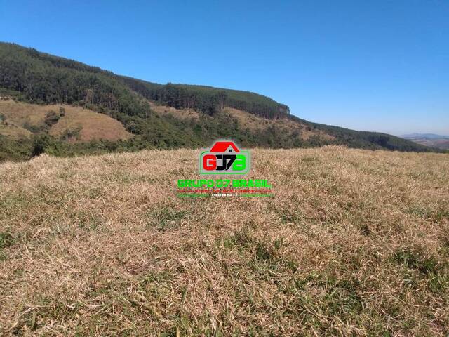 #2153 - Fazenda para Venda em Lorena - SP - 3