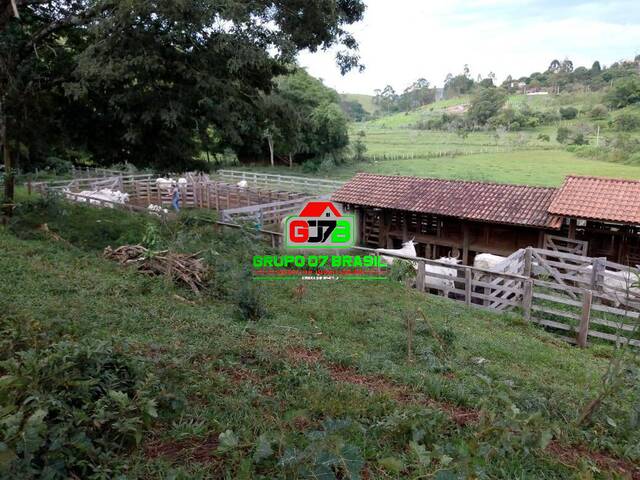 Fazenda para Venda em Cambuí - 5