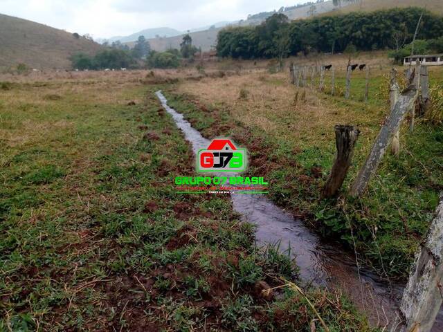 #2161 - Fazenda para Venda em Cambuí - MG