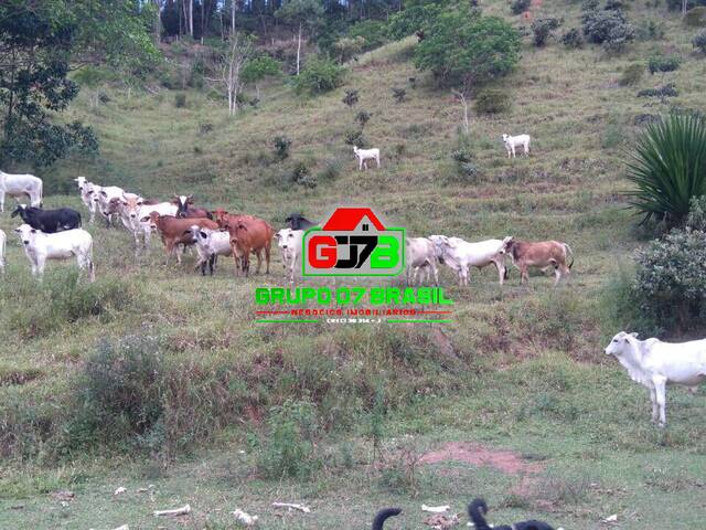 Fazenda para Venda em Caçapava - 4