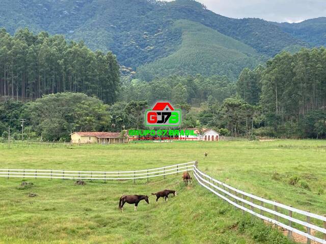 Fazenda para Venda em São Luíz do Paraitinga - 4