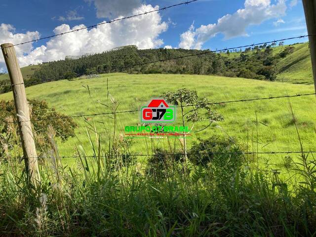 #2515 - Fazenda para Venda em São Luíz do Paraitinga - SP - 3