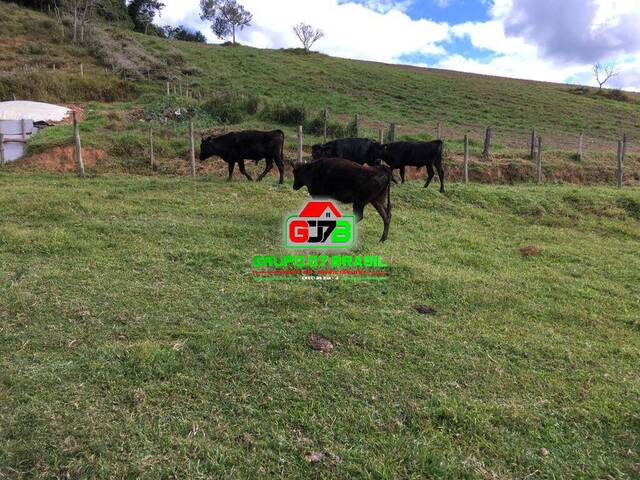 Fazenda para Venda em São Luíz do Paraitinga - 5