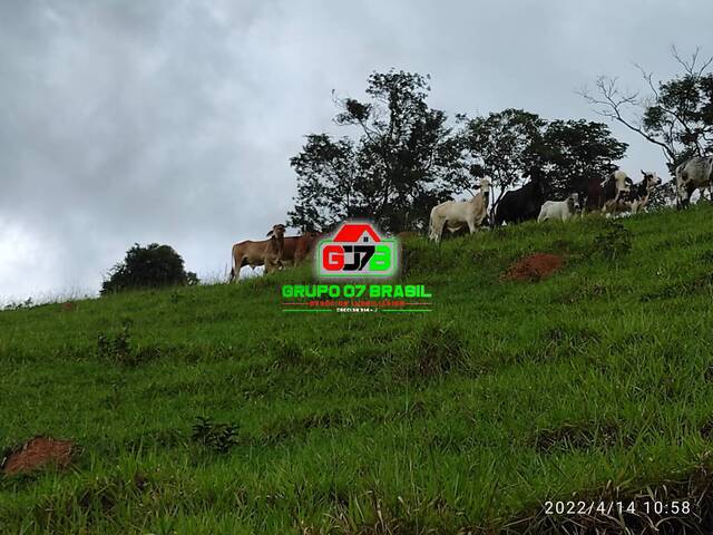 Fazenda para Venda em Jambeiro - 1