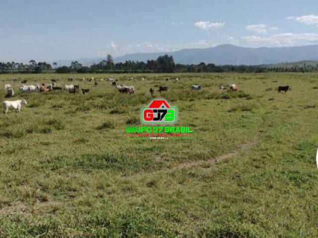 Fazenda para Venda em Guaratinguetá - 1