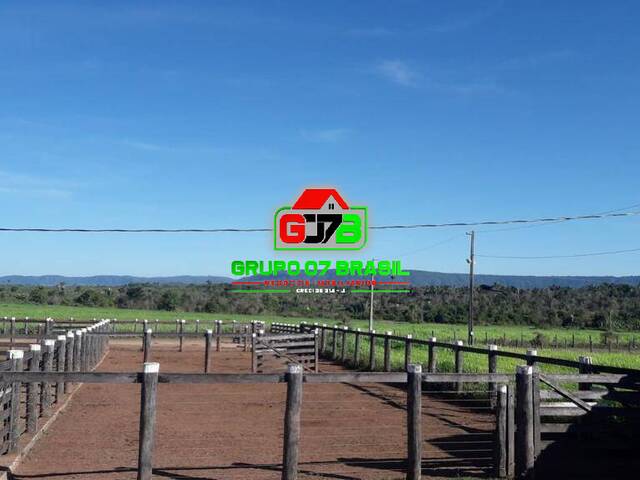 #2919 - Fazenda para Venda em Xinguara - PA - 2