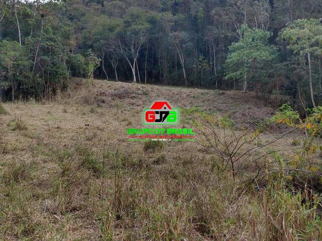 Venda em Bairro dos Pinheiros - Natividade da Serra