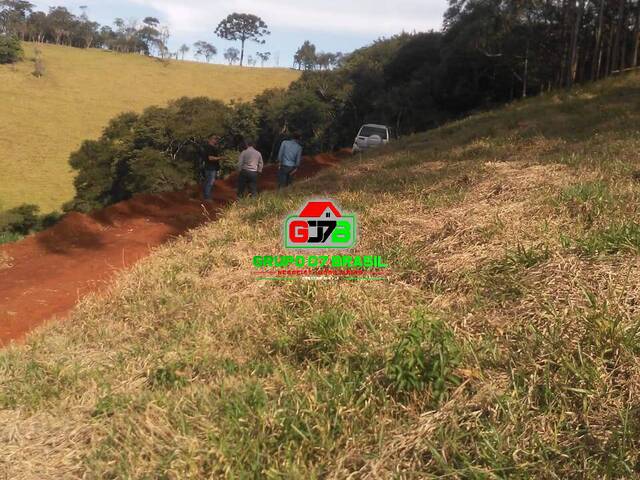 Chácara para Venda em Santo Antônio do Pinhal - 5