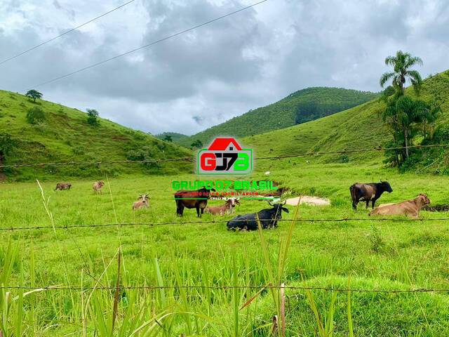 Fazenda para Venda em Pindamonhangaba - 2