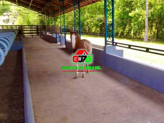 Fazenda para Venda em Pindamonhangaba - 3