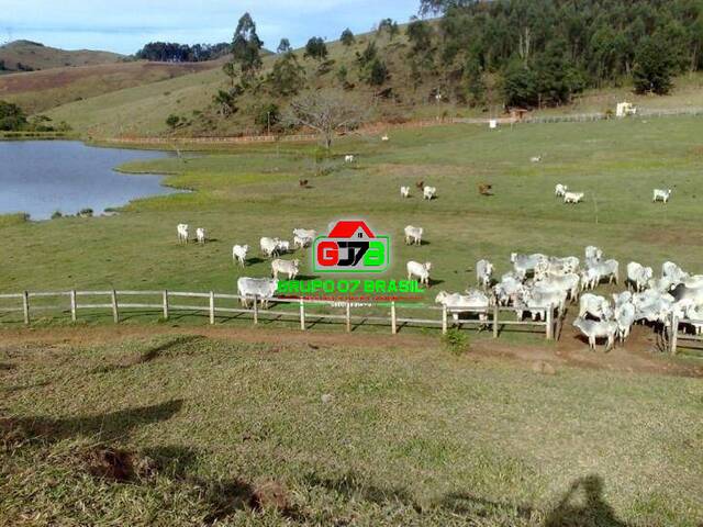 Haras para Venda em Jambeiro - 1