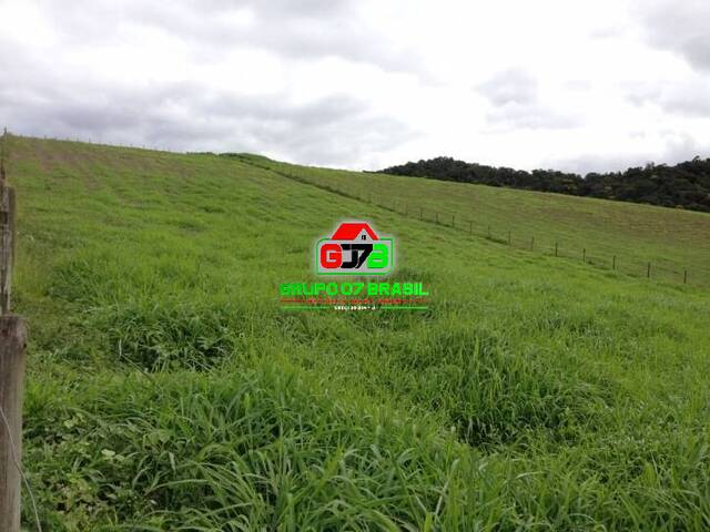 Fazenda para Venda em Cachoeira Paulista - 2