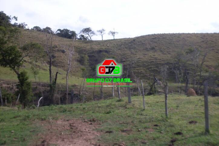 Fazenda à venda com 3 quartos, 605000m² - Foto 47