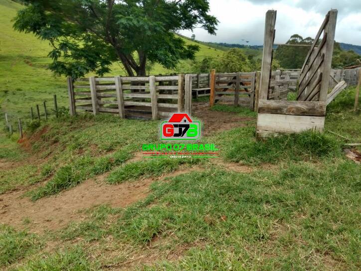 Fazenda à venda com 1 quarto, 60m² - Foto 4