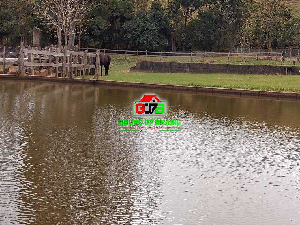 Fazenda à venda com 7 quartos, 30000m² - Foto 14