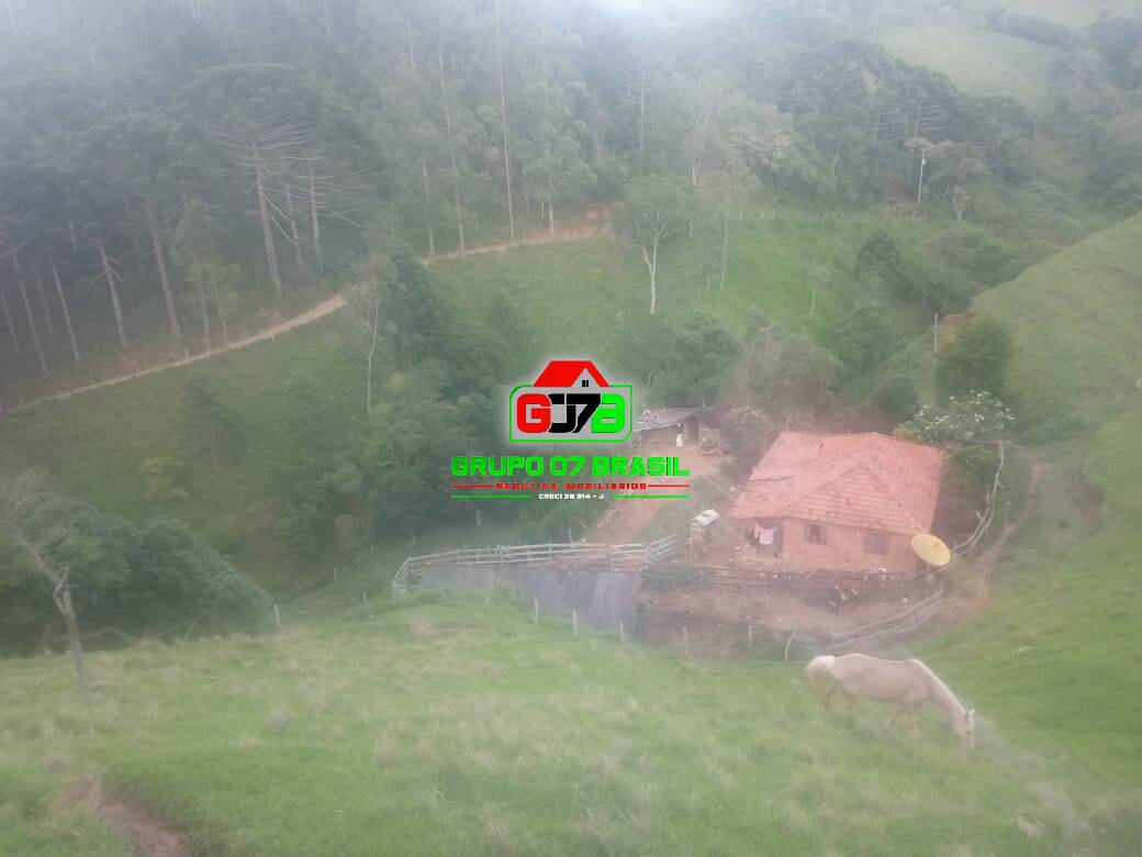 Fazenda à venda com 2 quartos, 37000m² - Foto 24