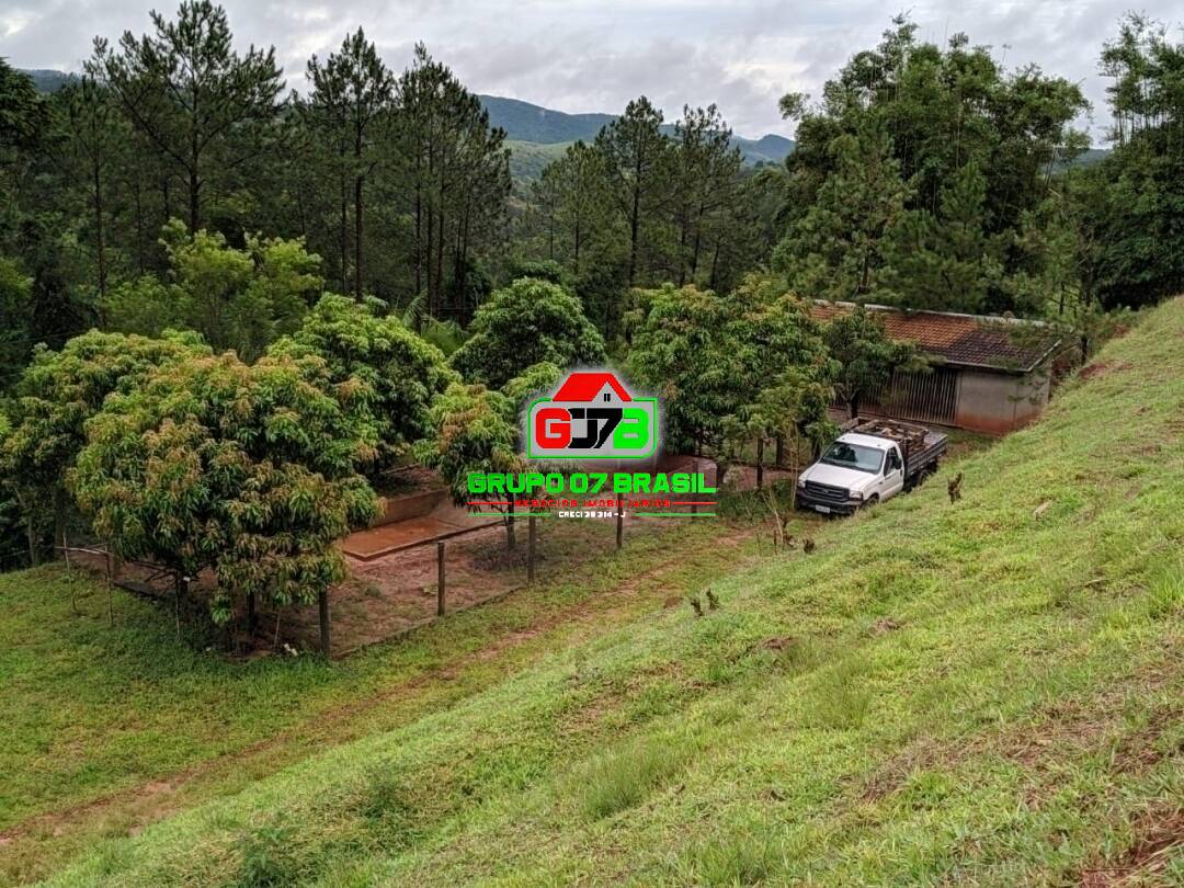 Fazenda à venda com 3 quartos, 6000m² - Foto 6