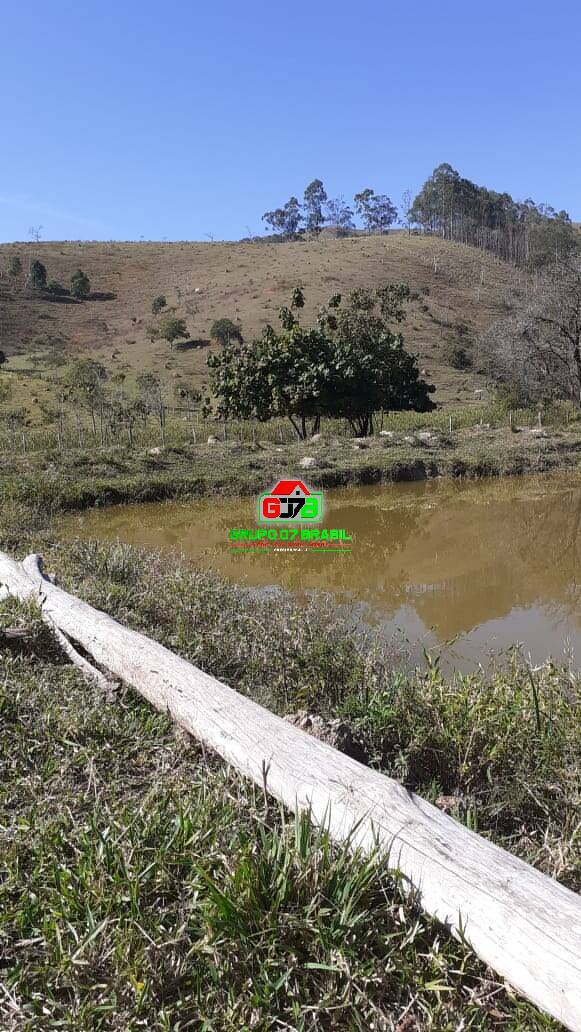 Fazenda à venda com 2 quartos, 30000m² - Foto 1