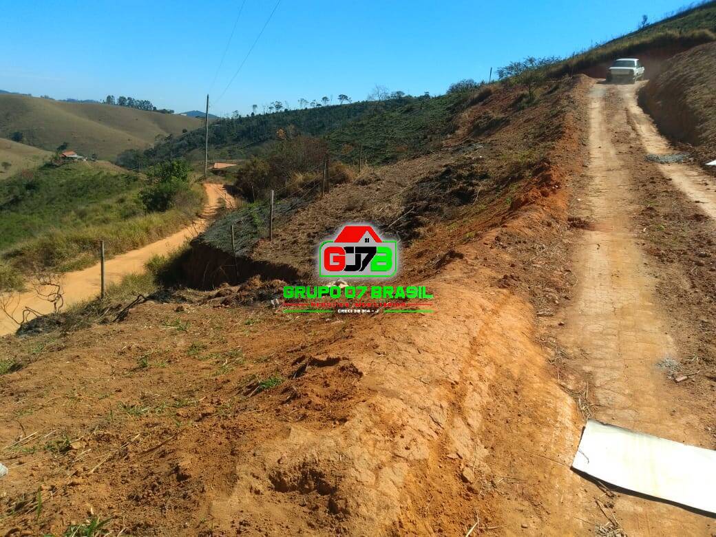 Fazenda à venda com 2 quartos, 2000m² - Foto 3