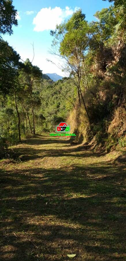 Fazenda à venda, 4m² - Foto 13