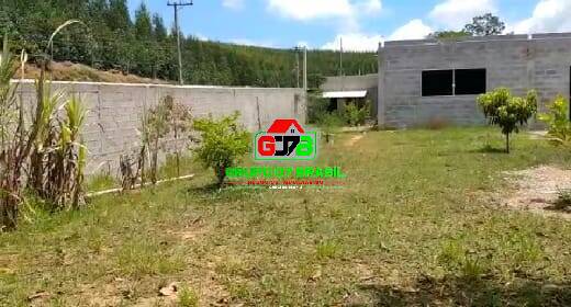 Fazenda à venda com 2 quartos, 2000m² - Foto 7