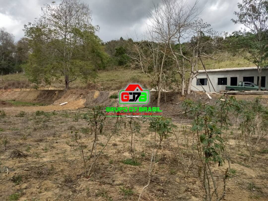 Fazenda à venda com 1 quarto, 21000m² - Foto 10