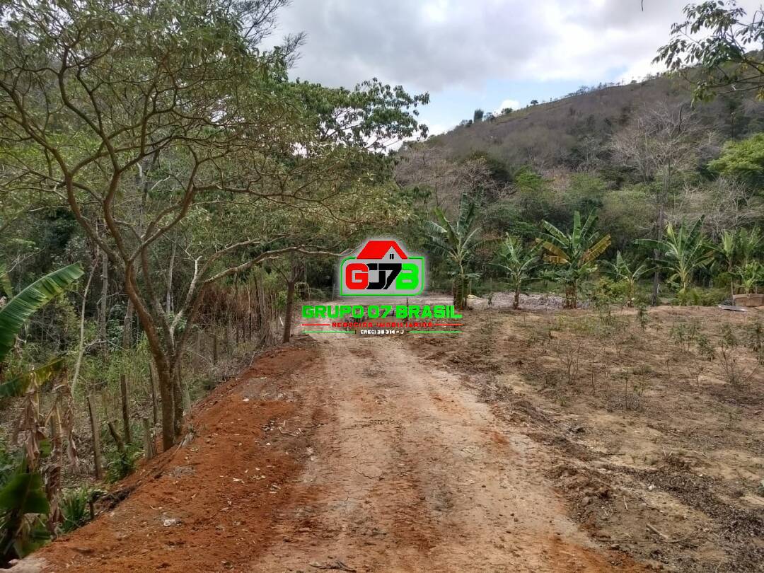 Fazenda à venda com 1 quarto, 21000m² - Foto 7