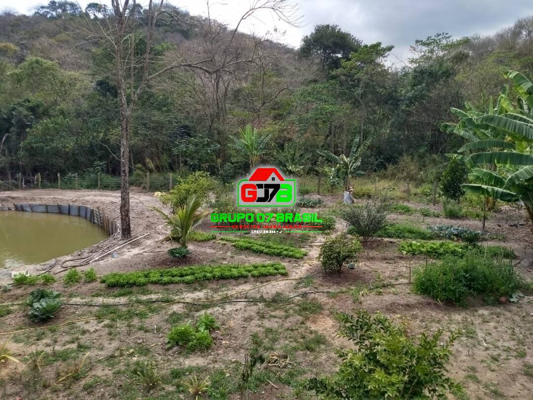 Fazenda à venda com 1 quarto, 21000m² - Foto 1