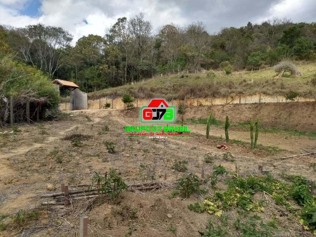 Fazenda à venda com 1 quarto, 21000m² - Foto 8