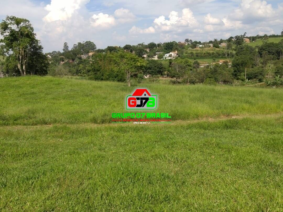 Fazenda à venda com 1 quarto, 42000m² - Foto 29