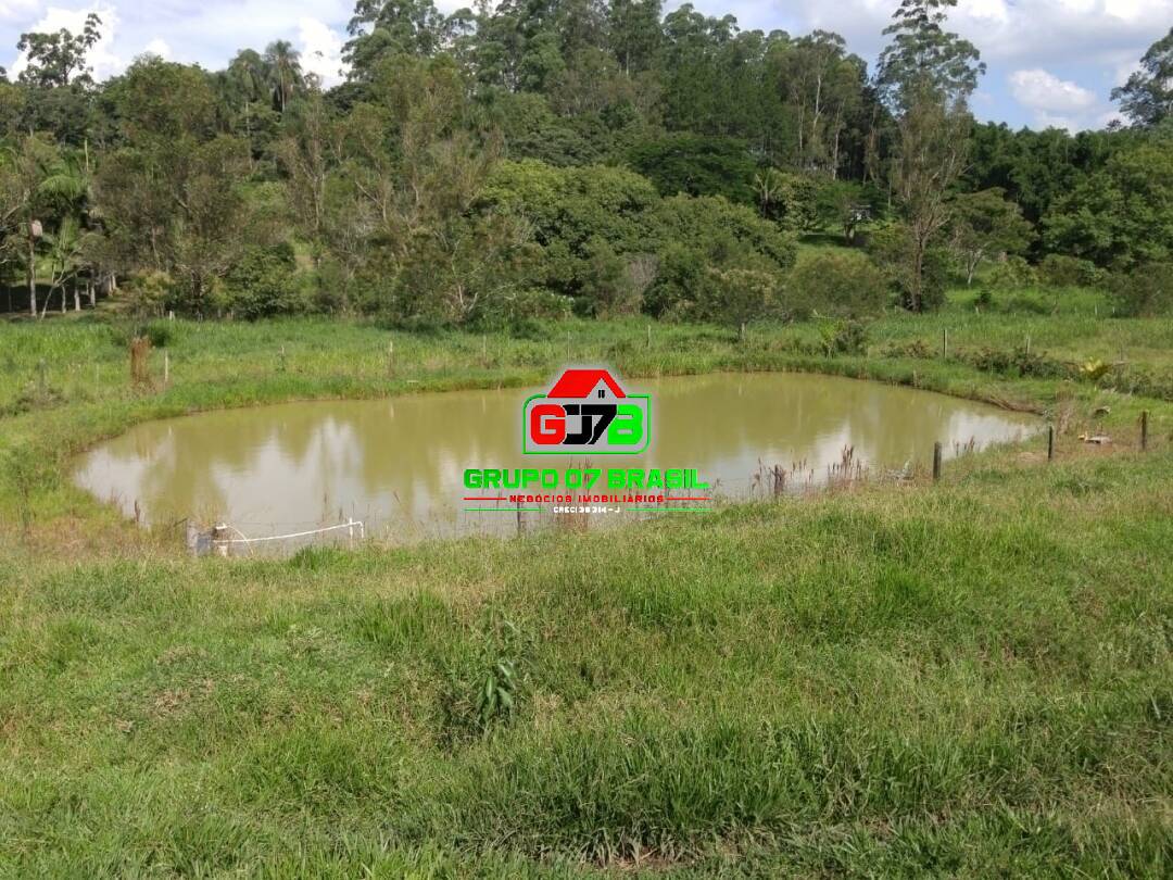 Fazenda à venda com 1 quarto, 42000m² - Foto 18