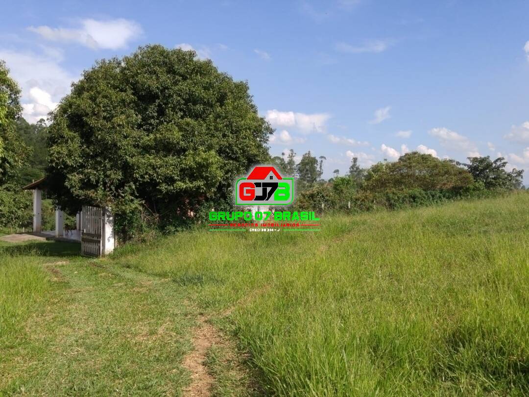 Fazenda à venda com 1 quarto, 42000m² - Foto 21