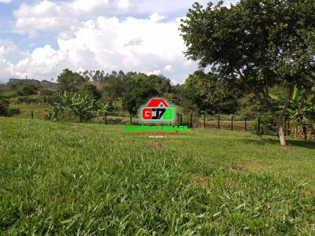 Fazenda à venda com 1 quarto, 42000m² - Foto 19