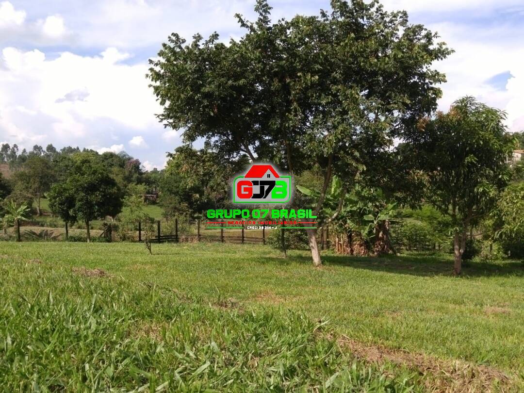 Fazenda à venda com 1 quarto, 42000m² - Foto 17