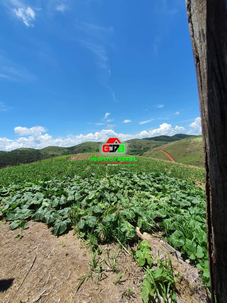 Fazenda à venda, 7m² - Foto 3