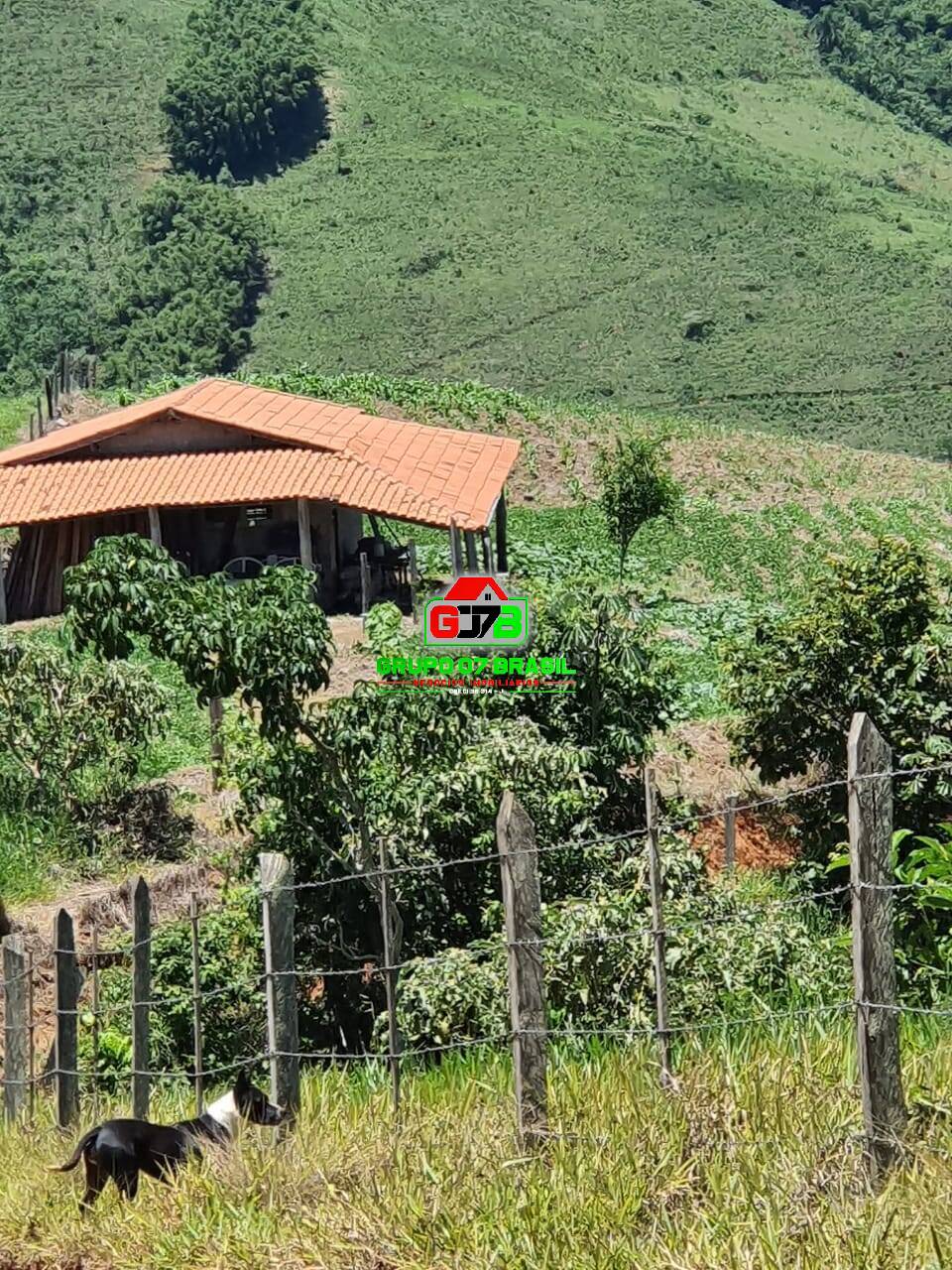 Fazenda à venda, 7m² - Foto 2